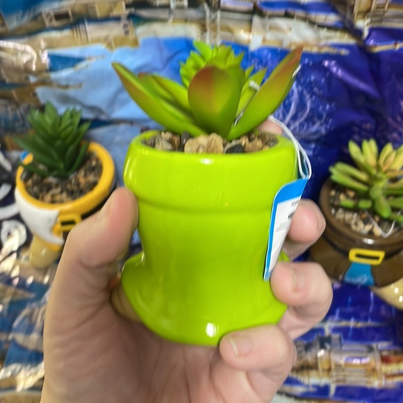 COPY - 🔥RARE🏰SOLDOUT DISNEY SNOW WHITE👗SEVEN DWARVES FAUX SUCCULENT TERRARIUM‼️… - Picture 8 of 17